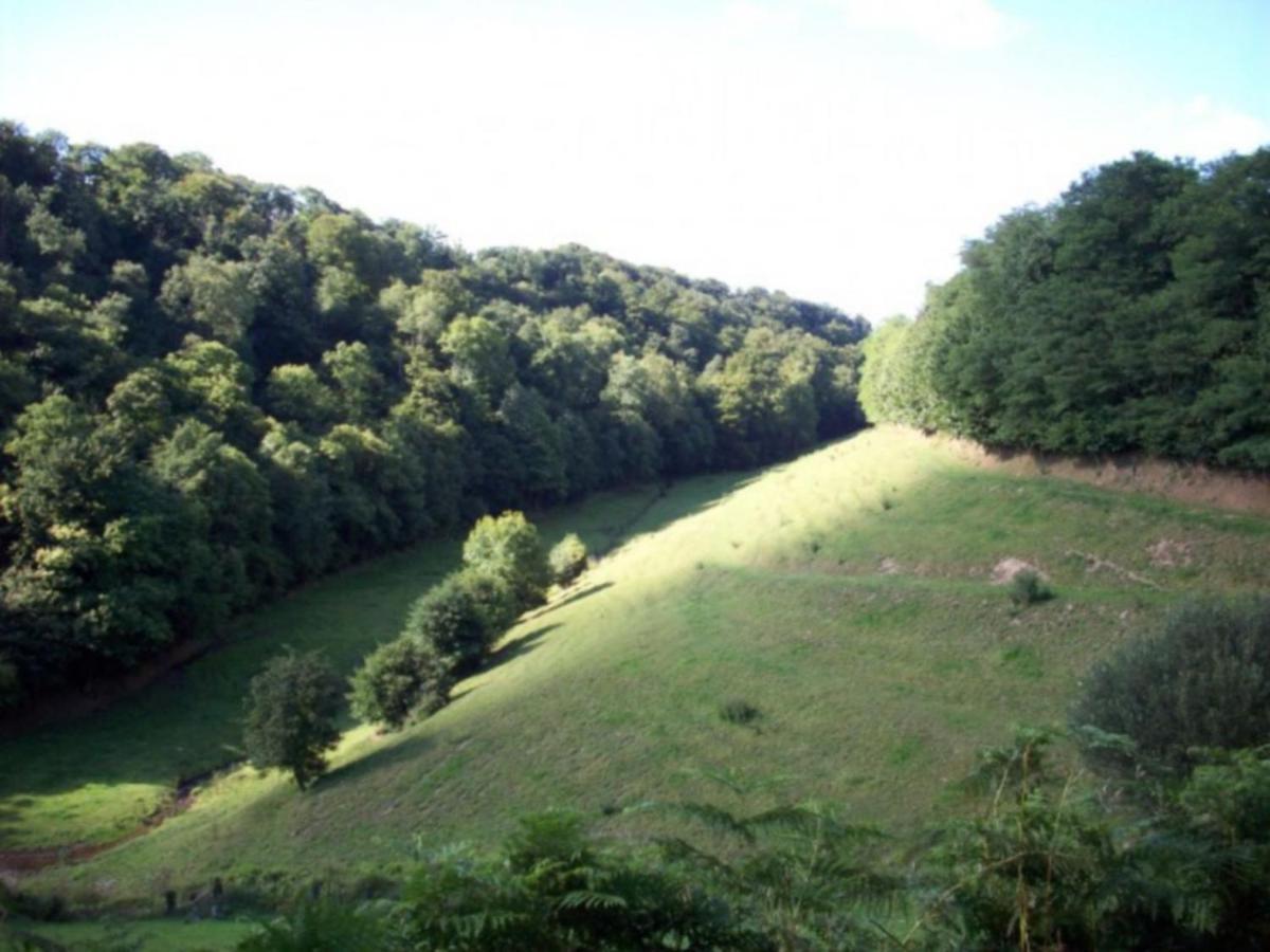 Cosy Chalet With Private Garden In Normandy Isigny-le-Buat Номер фото